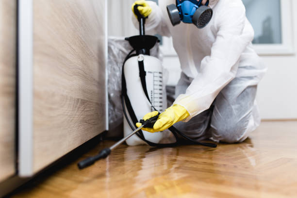 Best Flea Control Services  in Konterra, MD