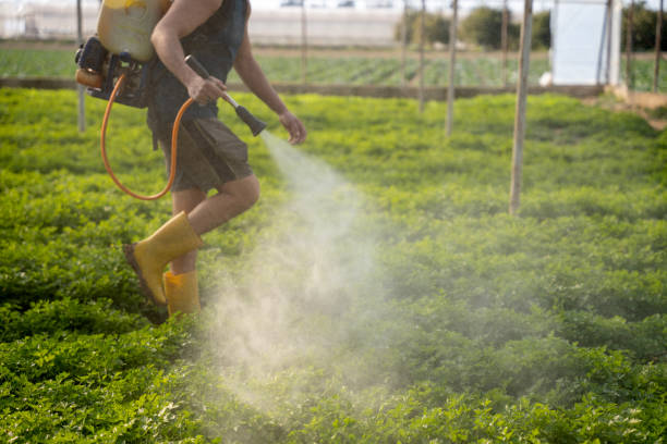 Best Commercial Pest Control Services  in Konterra, MD