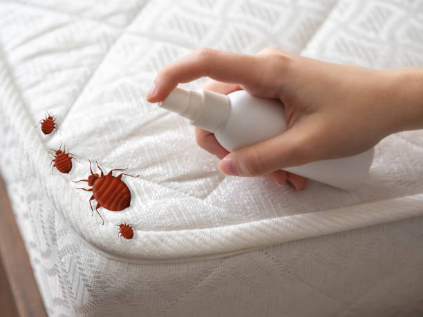 Best Best Pest Control Companies  in Konterra, MD